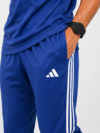 R-BL-7 Adis Korik AeroFlex Royal Blue Dri-Fit T-Shirt & Trouser Set